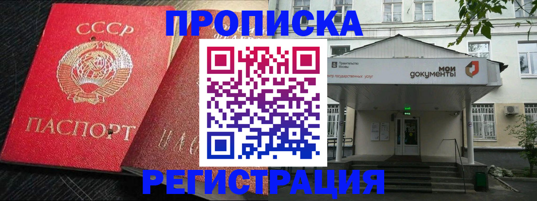 прописка в квартире в Новосибирской области